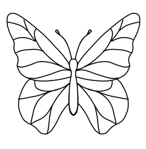 طرح روی مس پروانه