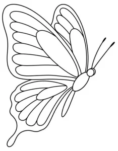 طرح پروانه